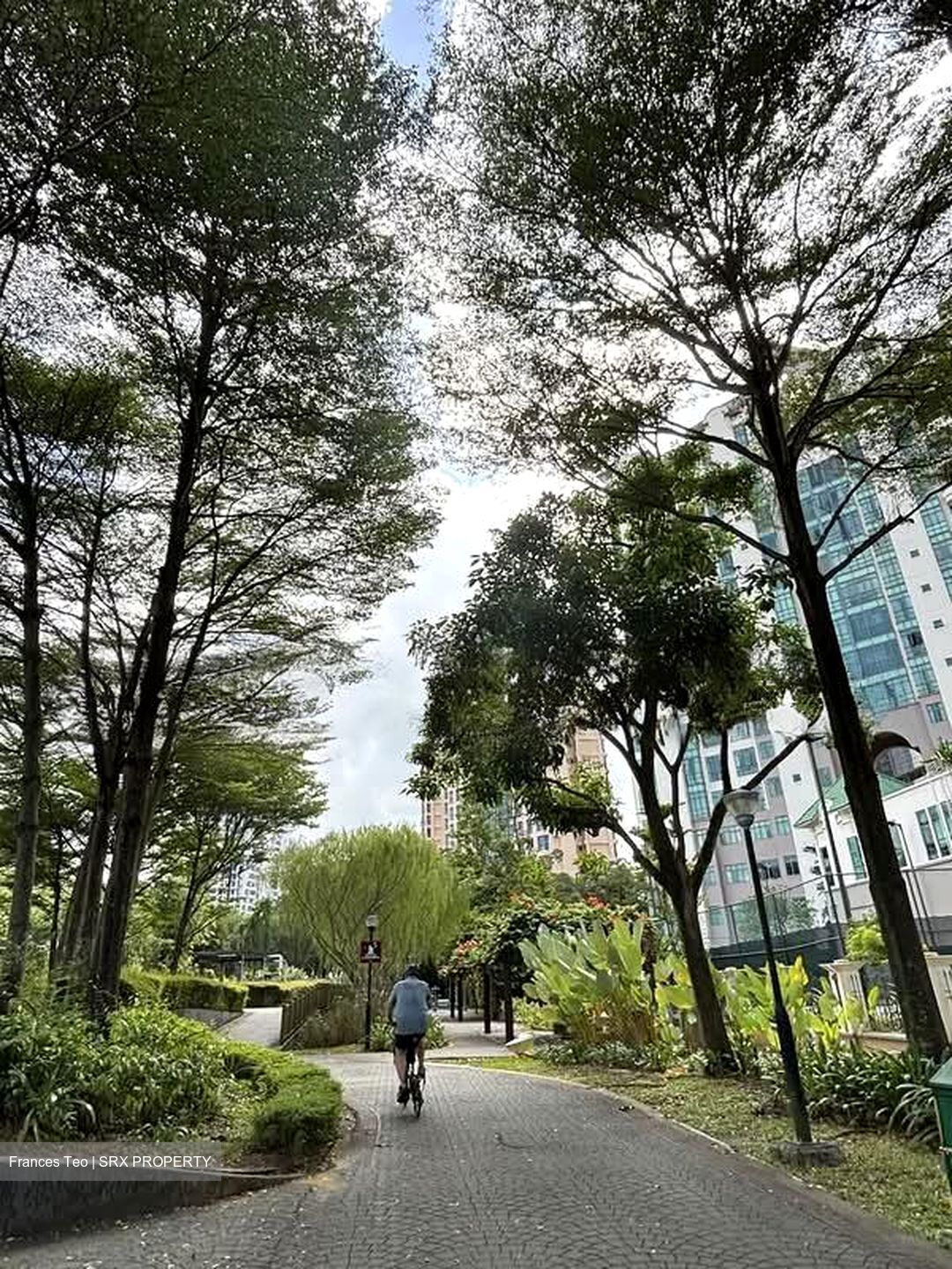 Tanglin Regency (D10), Condominium #526497601